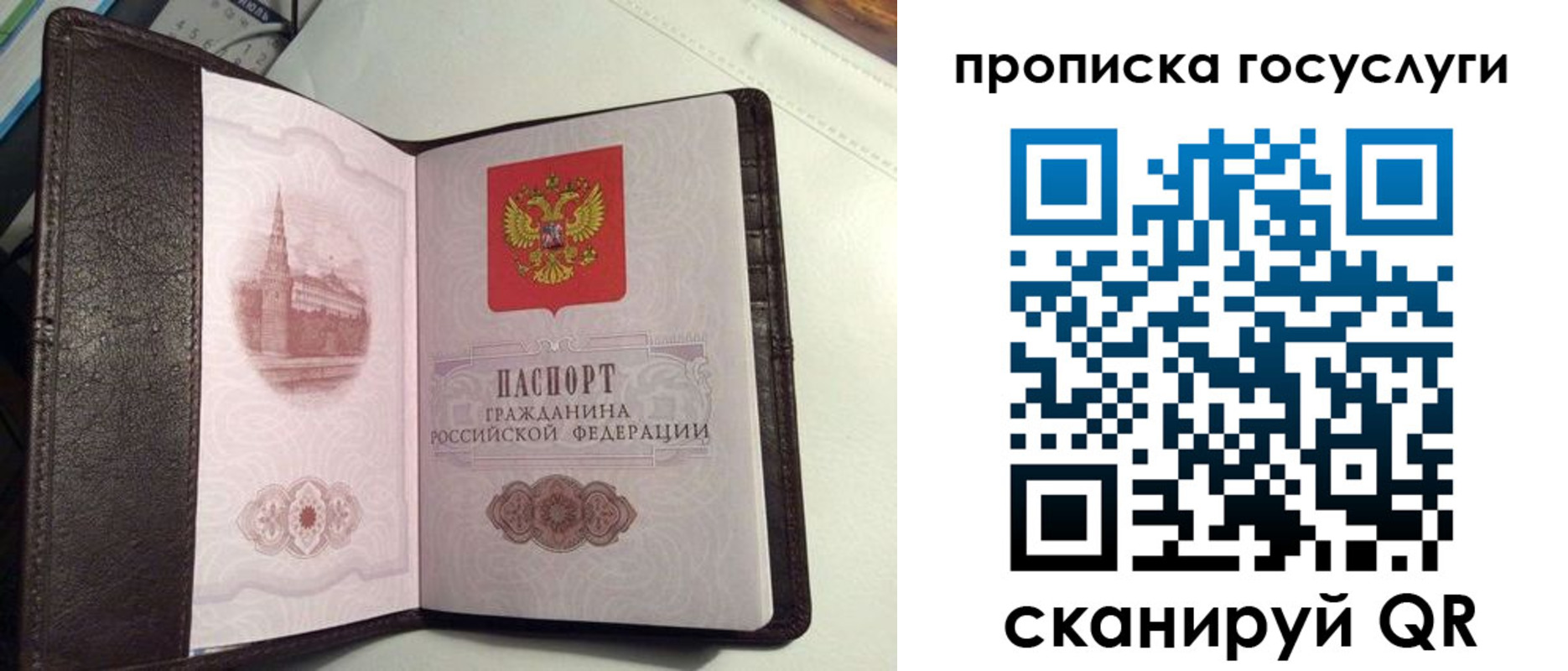 временная прописка в Курганской области